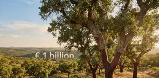 Portuguese cork company transforms traditional oak bark into advanced aerospace technology Portuguese cork company transforms traditional oak bark into advanced aerospace technology