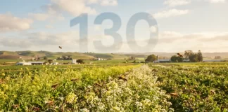 “Protecting pollinators doesn’t have to come at the expense of food security,” says researcher on new bee-repellent discovery "Protecting pollinators doesn’t have to come at the expense of food security," says researcher on new bee-repellent discovery