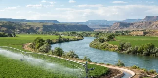 “The Colorado River Basin is one of the most important watersheds in North America,” Water executive says of new Corporate conservation effort "The Colorado River Basin is one of the most important watersheds in North America," Water executive says of new Corporate conservation effort